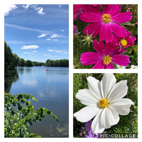 Ruhe und Schönheit der Natur